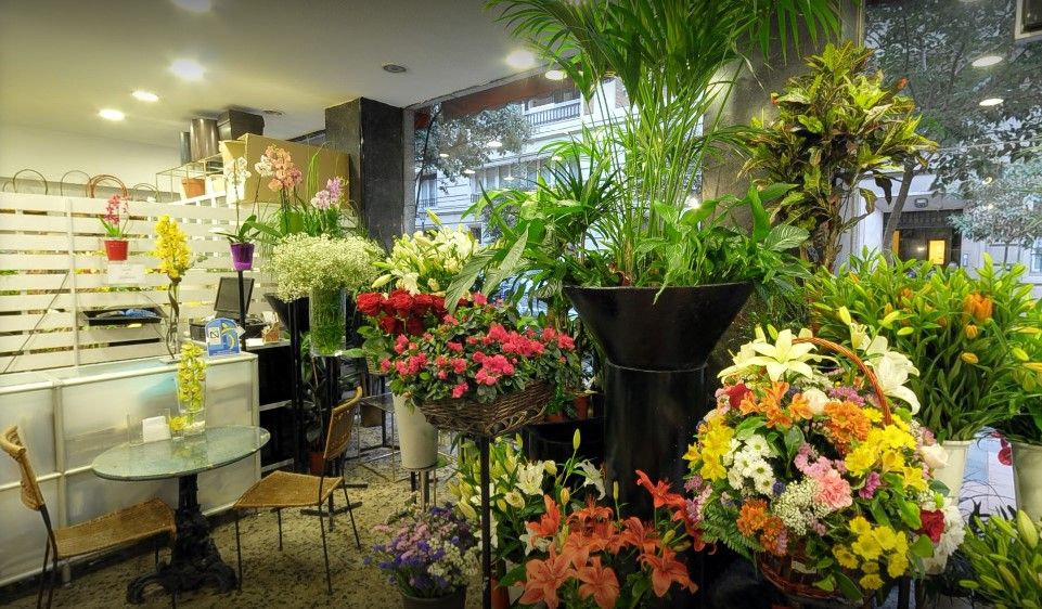Tienda de flores y plantas online online