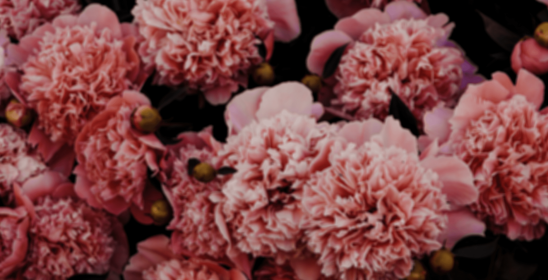 Flores online para el día de Todos los Santos - Floristería Barrio de Salamanca
