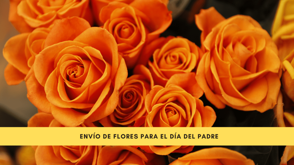 Envía flores para el día del padre – Floristería online