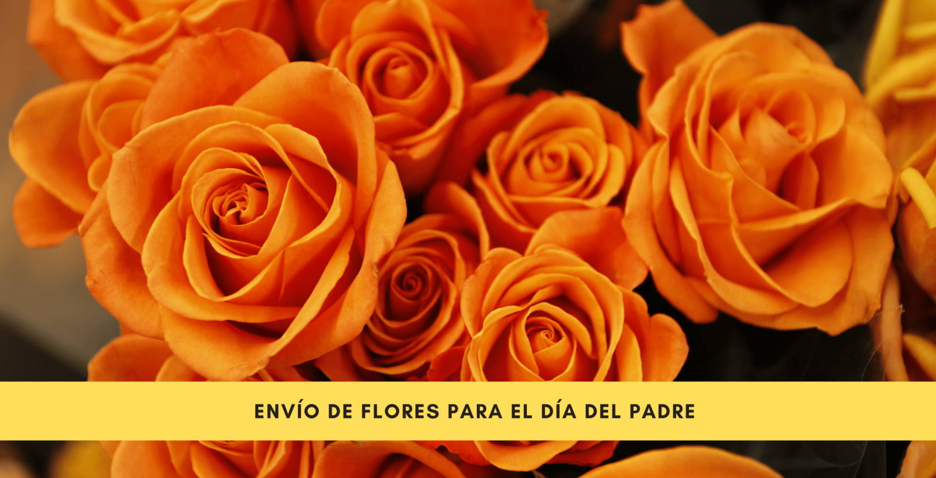 Envía flores para el día del padre – Floristería online